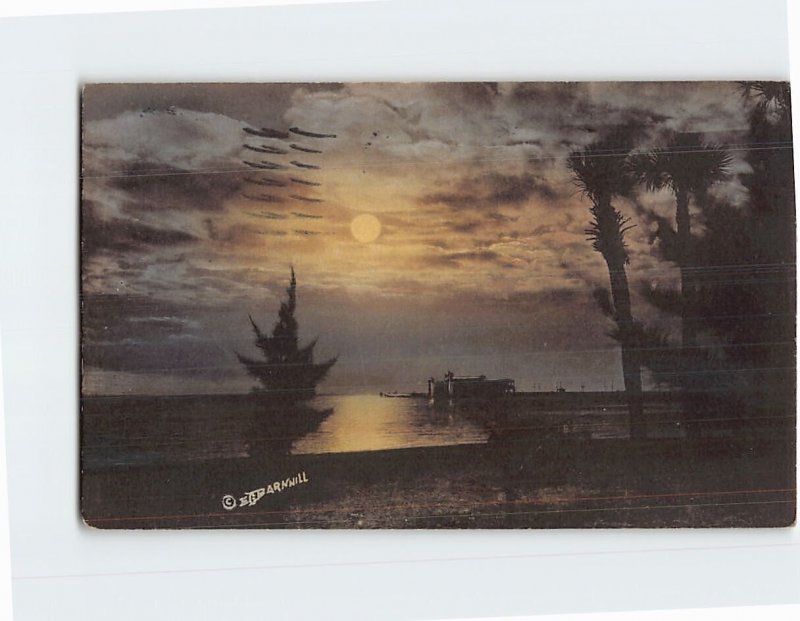 Postcard Moonlight on Tampa Bay St. Petersburg Florida USA