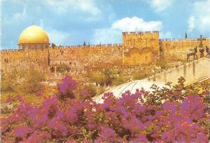 BT13175 Jerusalem golden gate         Israel