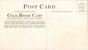 SAN GABRIEL CANYON CA~BRIDLE VEIL FALLS-COLD BROOK CAMP-BEAUTFUL RESORT-POSTCARD