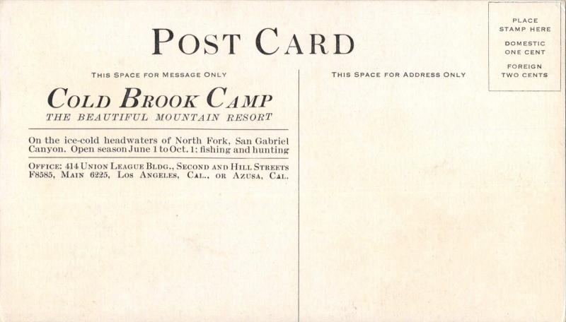 SAN GABRIEL CANYON CA~BRIDLE VEIL FALLS-COLD BROOK CAMP-BEAUTFUL RESORT-POSTCARD