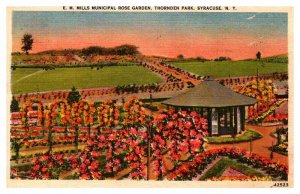 Postcard GARDEN SCENE Syracuse New York NY AQ8268