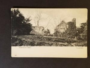 Mint Ireland Innisfallen Abbey Killarney Co Kerry Scenic Real Picture Postcard