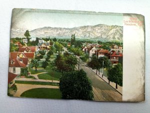 Vintage Postcard 1910's North Los Robles Ave Pasadena CA California M. Rieder