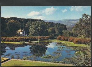 Wales Postcard - View of Terraces and Mountains, Bodnant, Denbighshire  RR2076