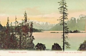 Neuquen Argentins~Lago Nahuel Huapi con la isla Victoria~1900s Photo POSTCARD