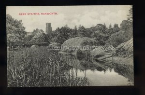 TQ3279 - Norfolk - Reeds being harvested on Staithe, Ranworth Village - postcard