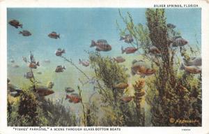 Silver Springs Florida~Fishes' Paradise Scene Through Glass Bottom Boat~1935