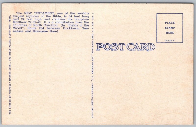 Vtg Murphy North Carolina NC New Testament Fields Of The Wood 1950s Postcard