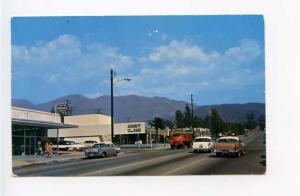 Yucaipa CA Street View Drug Store Old Cars Vintage Store Fronts Postcard