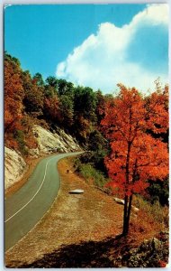 Postcard - Autumn Grandeur, Greetings from Mount Holly, New Jersey