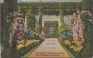 Postcard Interior View Longwood Gardens Near Wilmington DE