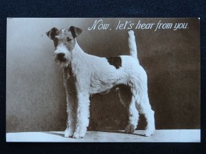 Portrait TERRIER Dog Breed NOW LET'S HEAR FROM YOU c1930s RP Postcard