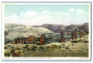 c1920's View In Seconds Petrified Forest Adamana Arizona AR Vintage Postcard