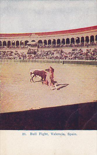 Bull Fight In Valencia Spain