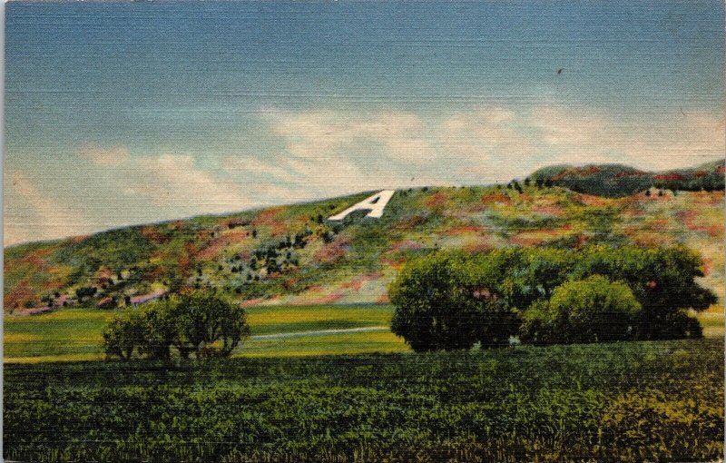 Aggie A Emblem Colorado State College Agriculture W Ft Collins CO Postcard UNP 