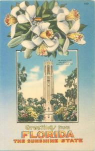 Greetings from Florida, Orange Blossoms and Singing Tower 1963 Linen Postcard