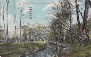 Genesee Valley Park, Rochester, New York - Stream Scene - pm 1909 - DB