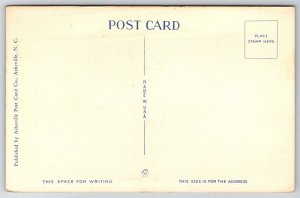 Cherokee Indian With Native Blow Gun Cherokee NC C1930's Postcard M24