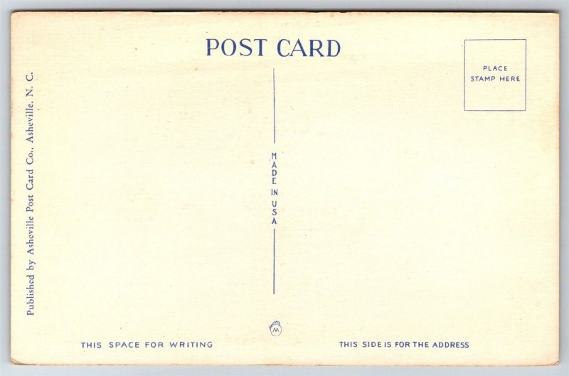 Cherokee Indian With Native Blow Gun Cherokee NC C1930's Postcard M24