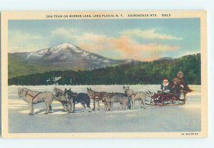 Pre-1980 HUSKY DOG TEAM Adirondacks - Lake Placid New York NY AG6137