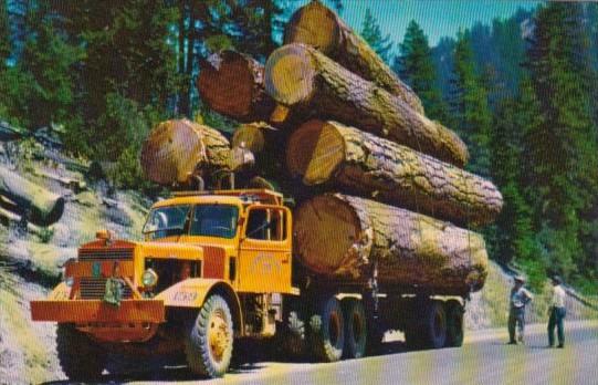 Logging Truck Large Diesel Truck Hauling Large Logs On Mountain Roads In The ...