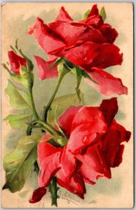 1908 Beautiful Full Red Roses Flowers Blooming Signed Embossed, Vintage Postcard