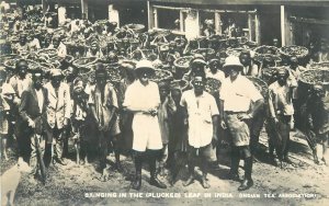 Postcard RPPC 1920s India Tea non postcard back occupation 23-11517