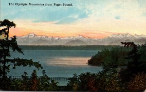 Washington Seattle Olympic Mountains From Puget Sound Curteich