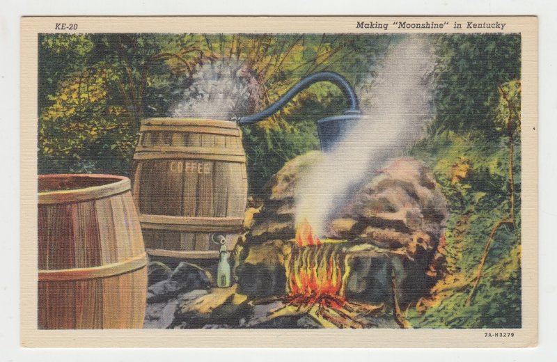 P2446,  vintage postcard making mountain dew, moonshine in kentucky still & fire