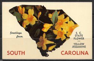 South Carolina - Greetings From - State Flower - [SC-071]