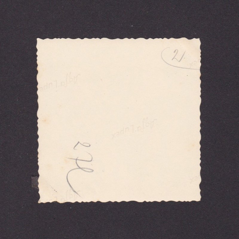 Original photo, 1940's, Germany, Women skiing