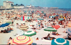 New Jersey Ocean City General View Bathing Beach