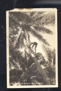 RPPC HAWAIIAN ISLANDS HAWAII TERRITORY COCONUT TREE CLIMBER REAL PHOTO POSTCARD