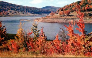 New York Catskill Mountains Narrowsburg Greetings From Fort Delaware