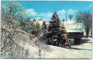 Snow-covered evergreen and trees, covered bridge, Jeffersonville, Vermont