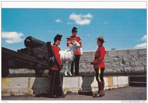 Royal Police, David the Goat Mascot, Canon, Old Fort Henry, Kingston Ontario,...