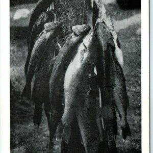 1947 Rhinelander, Wis. Fish Catch Printed Photo Postcard North Muskies Trout A3