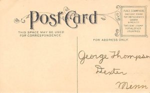 Butterfly and Flower Butterfly Postcard