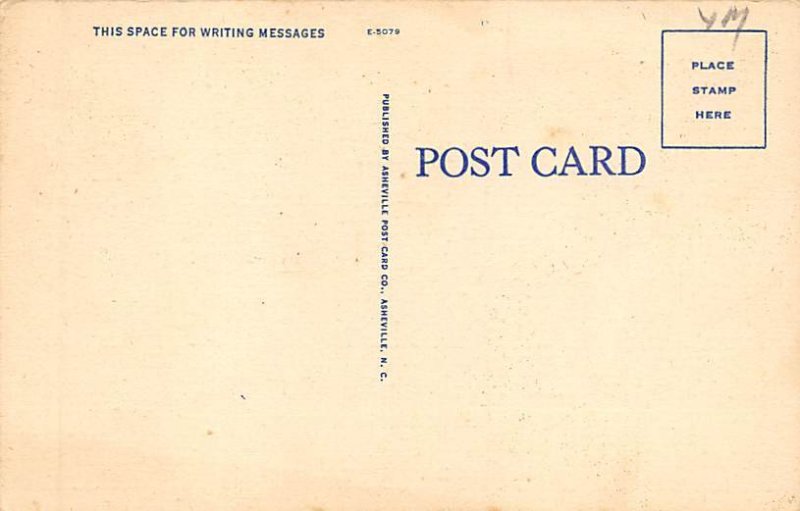 State Flag Misc, North Carolina NC