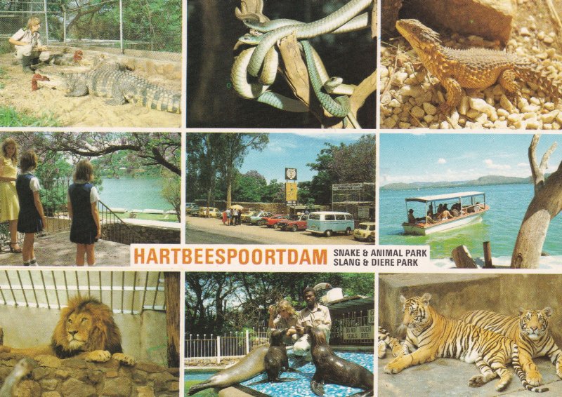 Hartbeespoortdam South African Snake Wildlife Park Zoo Postcard