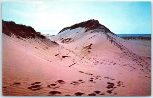 Postcard - Sand Dunes of Cape Cod - Massachusetts