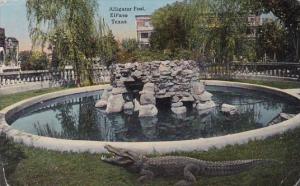 Alligator Pool El Paso Texas 1916