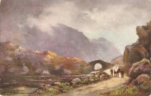 In the Gap. Killarney. Horse Tuck Oilette Sunnyside or Ireland PC # 7423