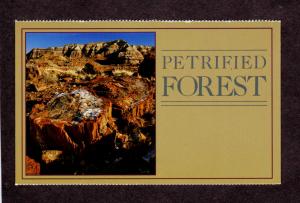 AZ Petrified Forest Logs Arizona Postcard  PC