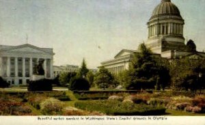 Sunken Garden - Olympia, Washington