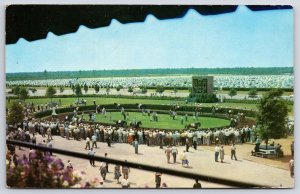 Atlantic City New Jersey Race Course Paddock Walking Race Black Horse Postcard