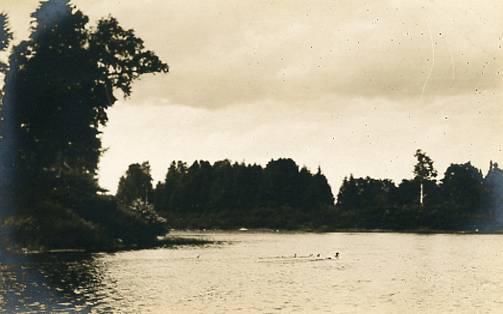 ME - Moosehead Lake, Ducks  **RPPC**