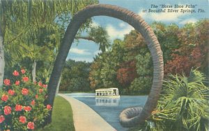 Silver Springs Florida The Horse Shoe Palm Linen Postcard Unused