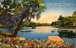 Florida Dunnellon Rainbow Springs 1940