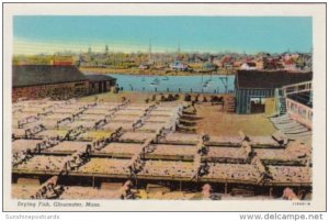 Massachusetts Gloucester Drying Fish Curteich
